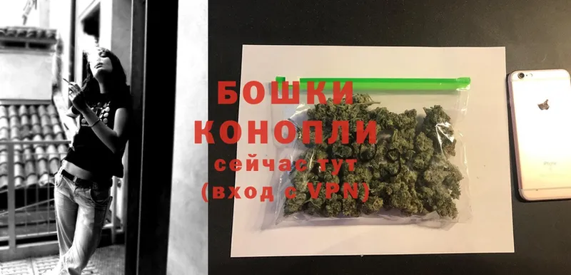 Бошки марихуана SATIVA & INDICA  продажа наркотиков  Чусовой 